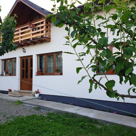 Pensiunea Ilea Ieud Exterior foto