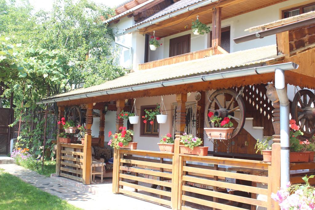 Pensiunea Ilea Ieud Exterior foto