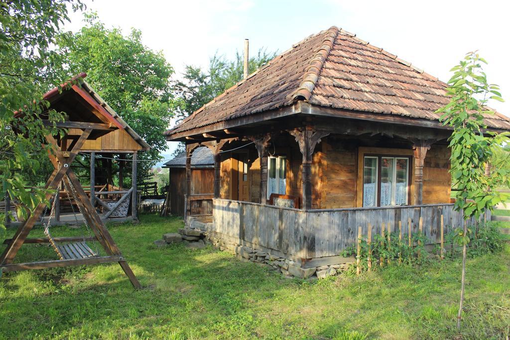 Pensiunea Ilea Ieud Exterior foto