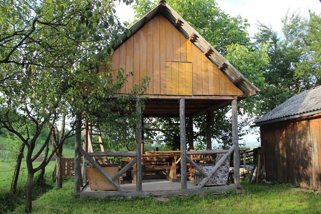 Pensiunea Ilea Ieud Exterior foto
