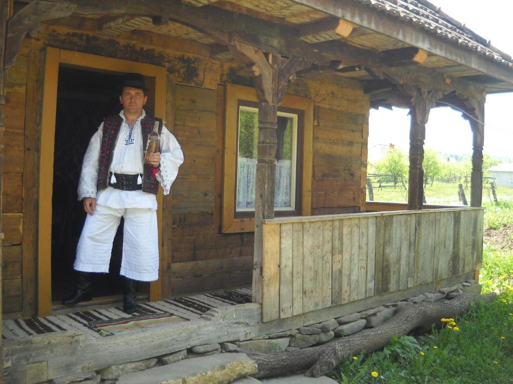 Pensiunea Ilea Ieud Exterior foto