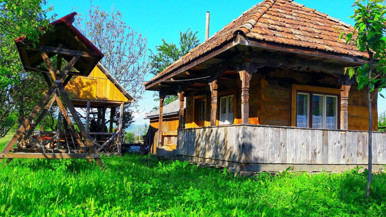 Pensiunea Ilea Ieud Exterior foto