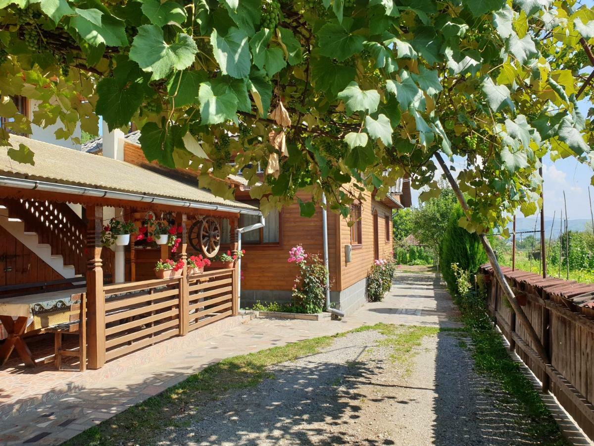 Pensiunea Ilea Ieud Exterior foto