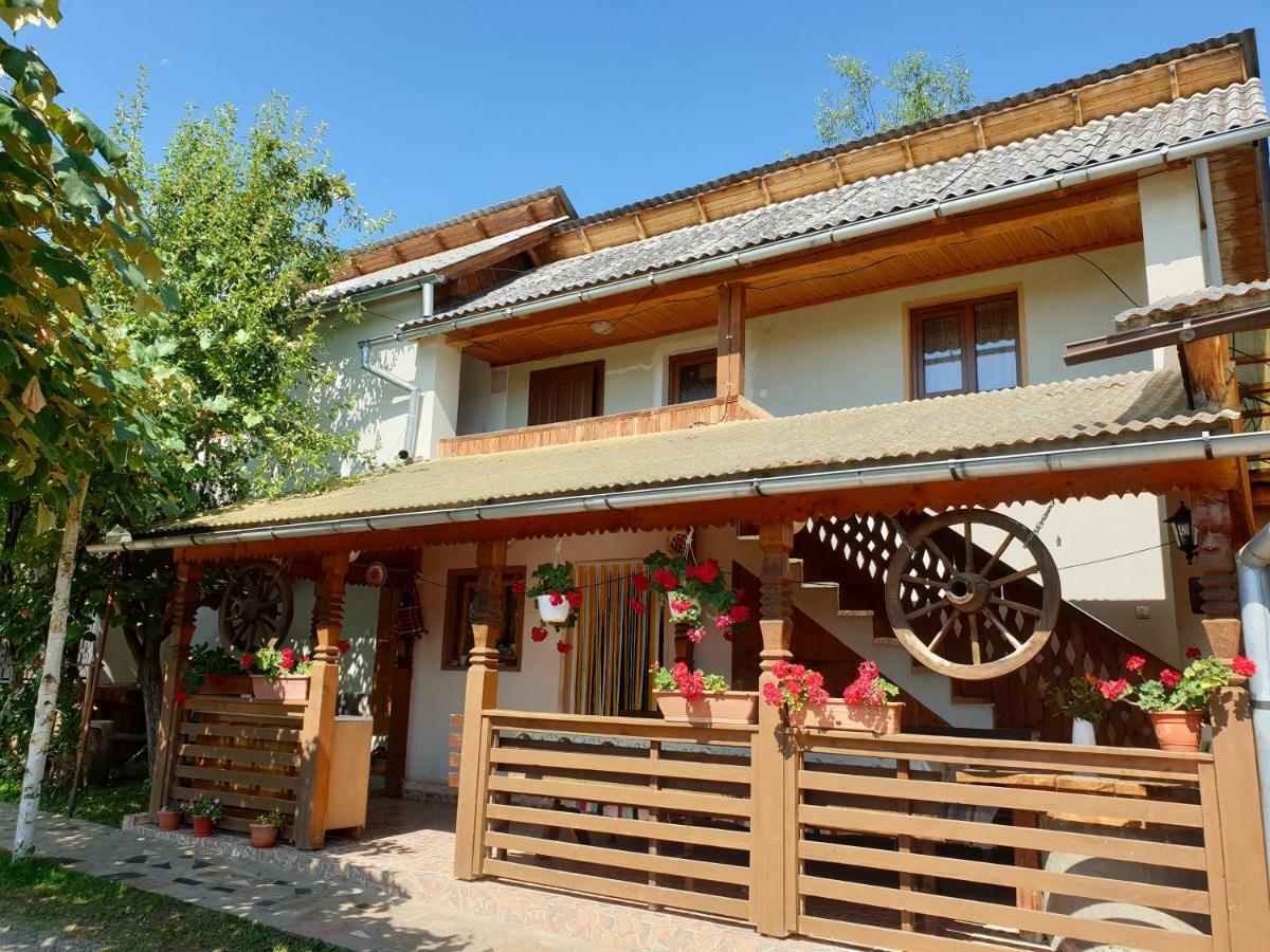 Pensiunea Ilea Ieud Exterior foto