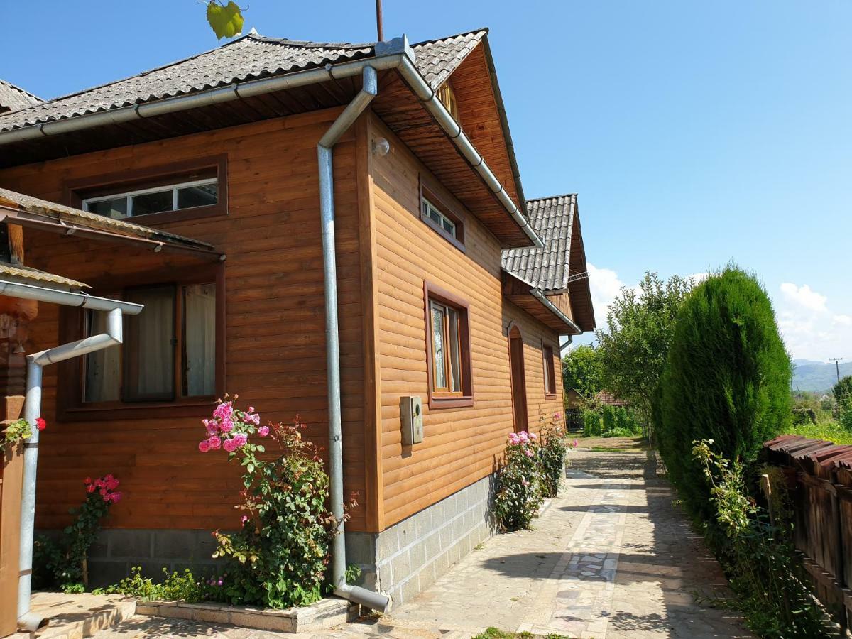 Pensiunea Ilea Ieud Exterior foto