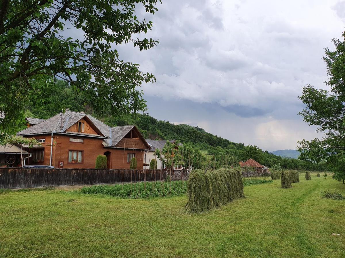 Pensiunea Ilea Ieud Exterior foto