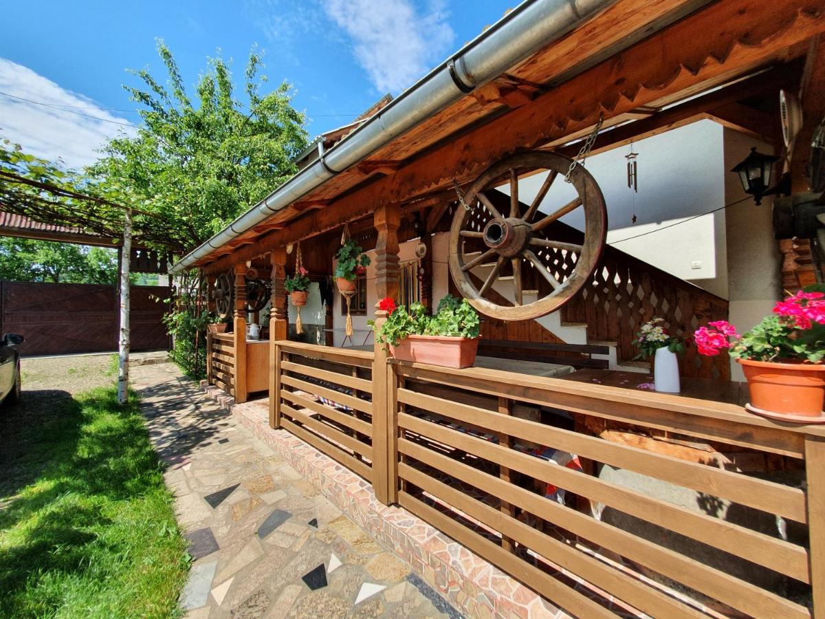 Pensiunea Ilea Ieud Exterior foto