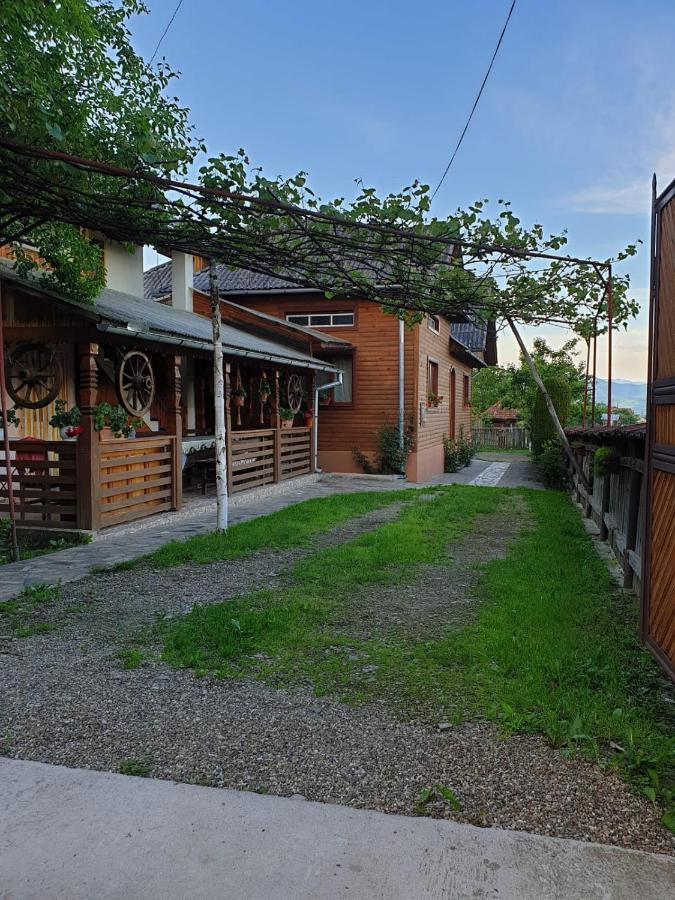Pensiunea Ilea Ieud Exterior foto