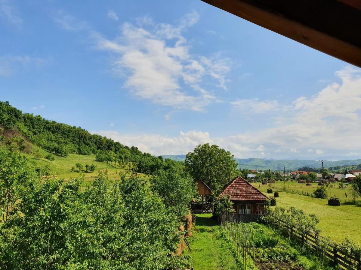 Pensiunea Ilea Ieud Exterior foto