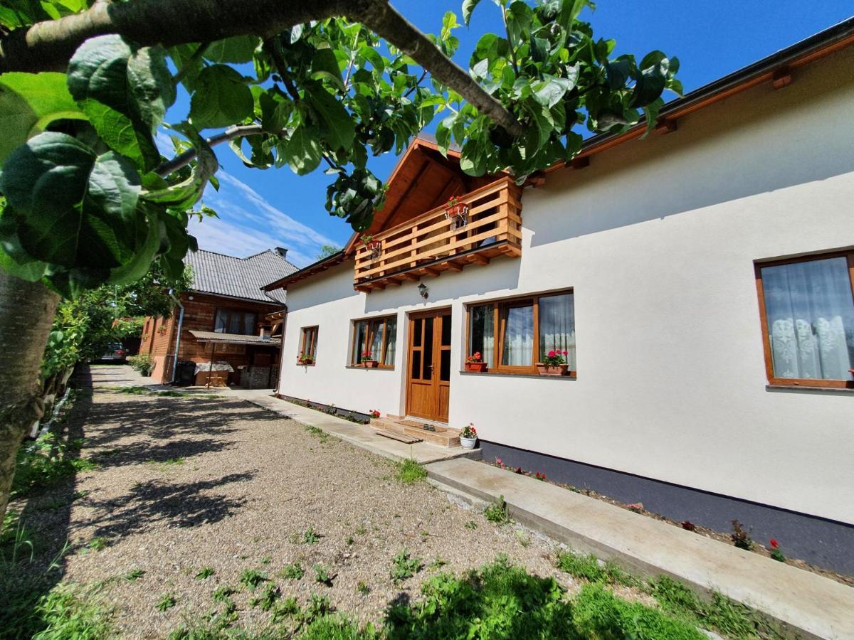 Pensiunea Ilea Ieud Exterior foto